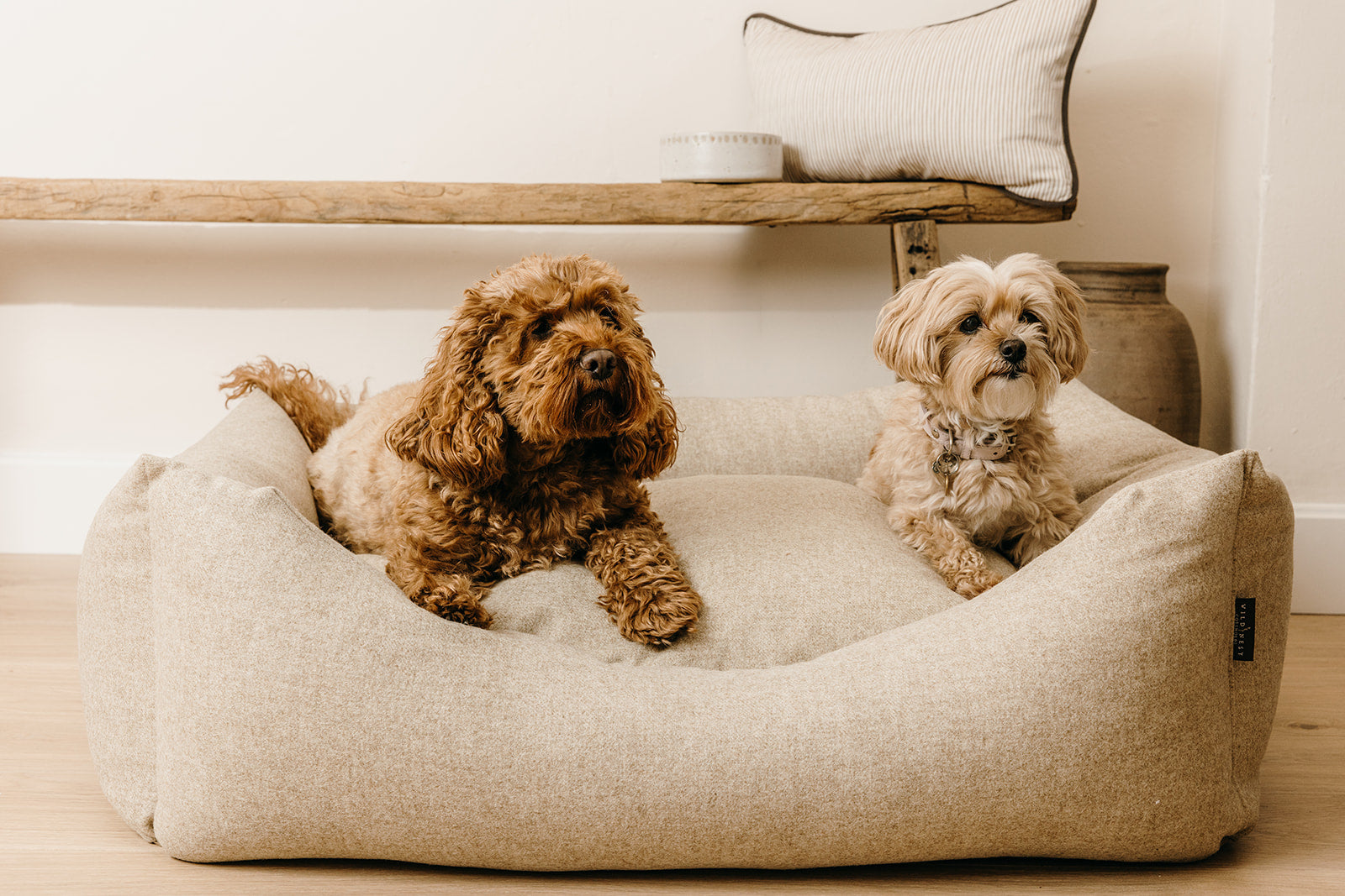 Two dogs relaxing in a handmade luxury wool dog bed by Wild Nest Cotswolds, upholstered in natural oatmeal fabric and styled in a neutral rustic home interior.