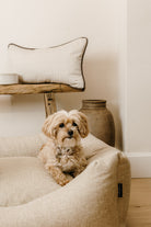 Dog sitting on a wool dog bed, handmade by Wild Nest Cotswolds  in a cosy room with a shelf and vase.