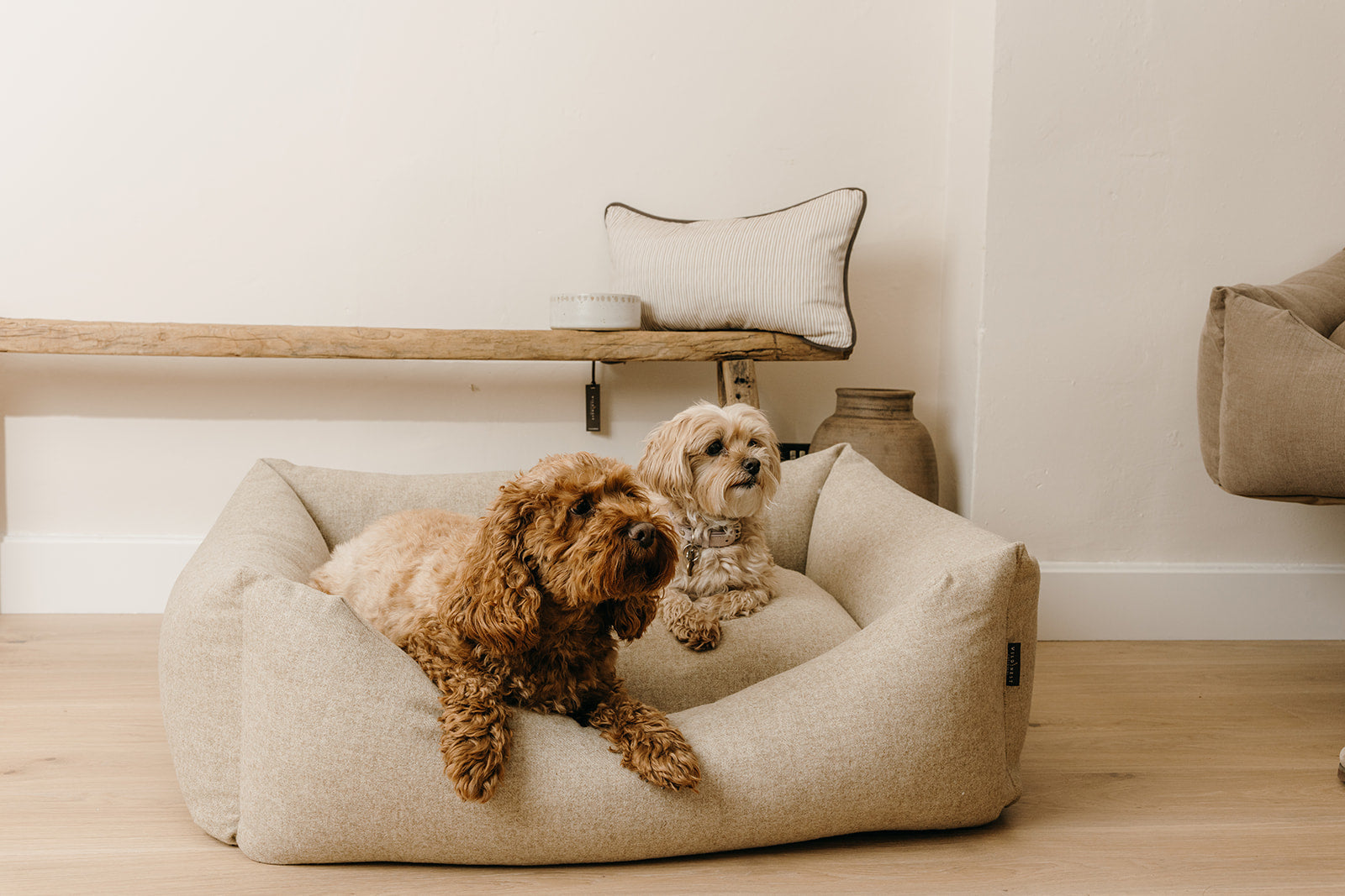 Two dogs relaxing in a handmade luxury wool dog bed by Wild Nest Cotswolds, upholstered in natural oatmeal fabric and styled in a neutral rustic home interior.